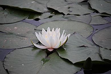 PS5免费互动新游戏《交互不明确》发布公布预告片